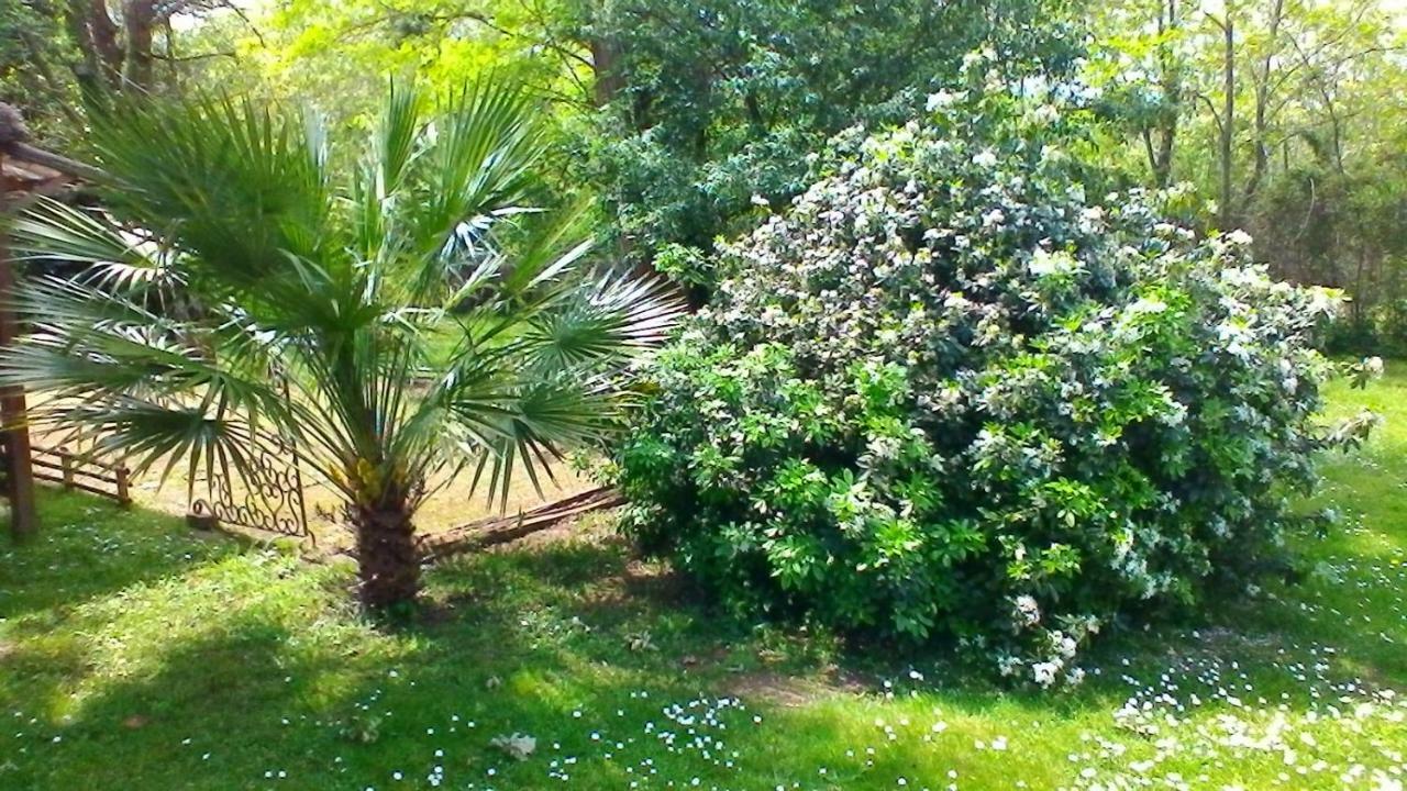 Le Clos Des Palombes Wifi Climatisation Saint-Pierre-du-Mont  Exterior photo